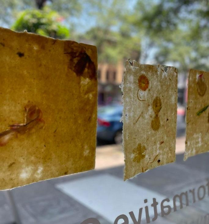 Photograph courtesy of the artist